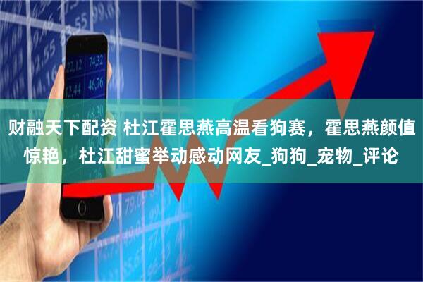 财融天下配资 杜江霍思燕高温看狗赛，霍思燕颜值惊艳，杜江甜蜜举动感动网友_狗狗_宠物_评论