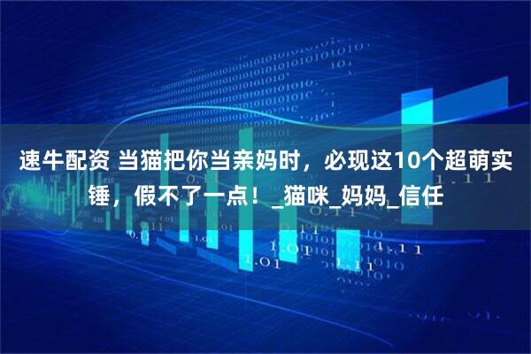 速牛配资 当猫把你当亲妈时，必现这10个超萌实锤，假不了一点！_猫咪_妈妈_信任